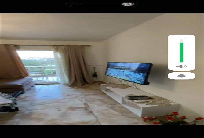 79458927 - Property Image 3