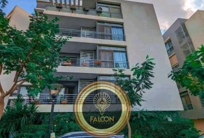 58245541 - Property Image 2