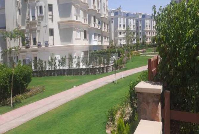 54495166 - Property Image 3