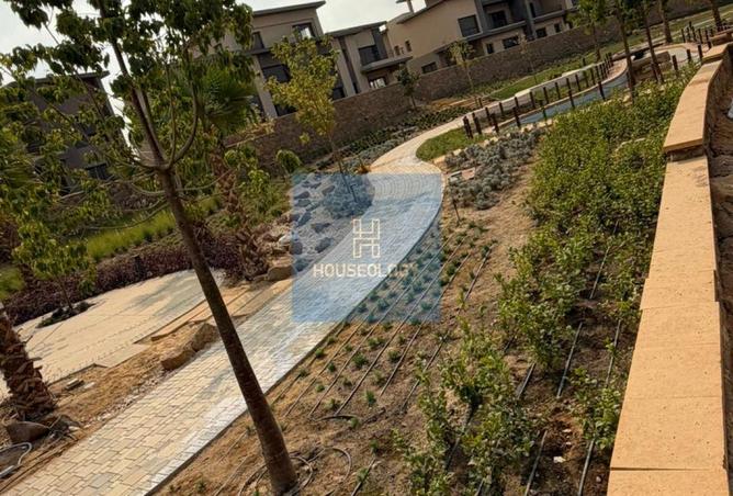 8595683 - Property Image 3