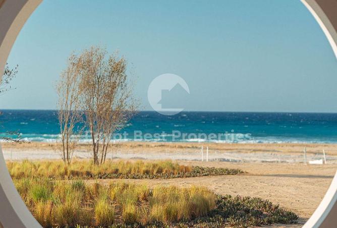 98007211 - صورة العقار 3