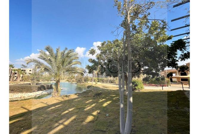 59487225 - صورة العقار 2