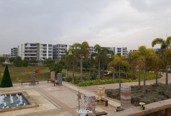 107970578 - Property Image 3