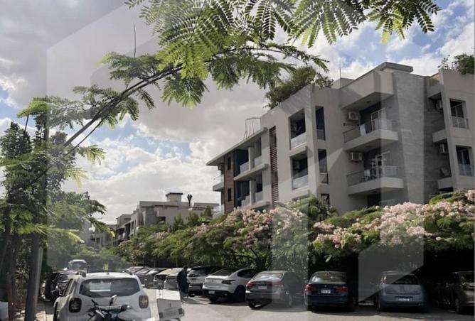 53226826 - Property Main Image