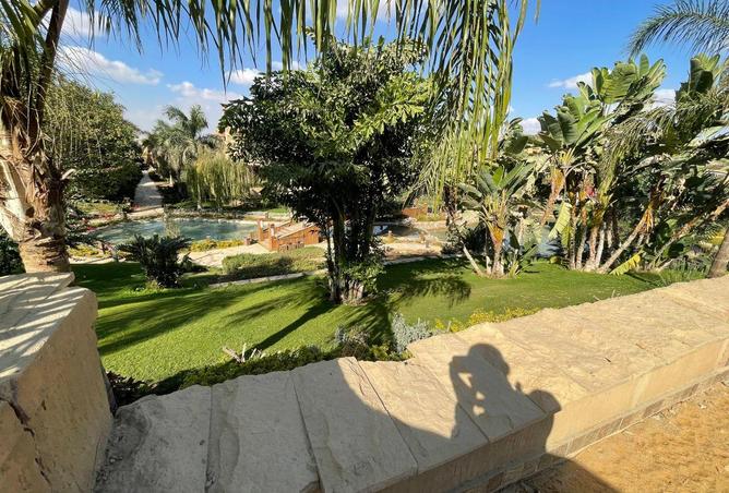 8570890 - صورة العقار 2