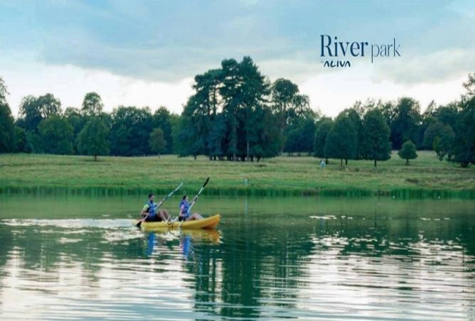 54755594 - صورة العقار 2