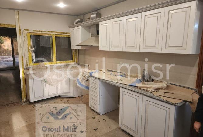 55253736 - Property Image 3