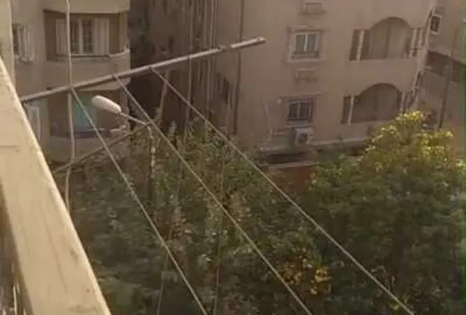 113265652 - صورة العقار 3