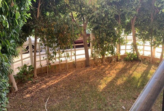 55754854 - صورة العقار 2