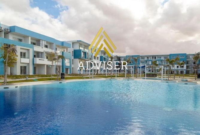 66170877 - Property Image 3