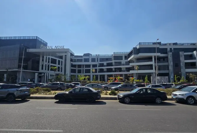 118802859 - Property Image 2