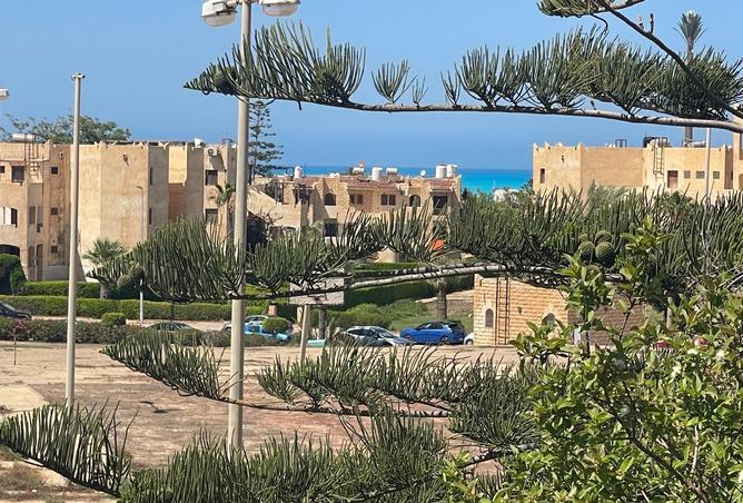 57736188 - صورة العقار 3