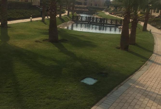 94913646 - صورة العقار 3