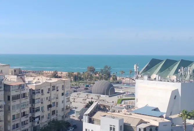 115154951 - صورة العقار 3