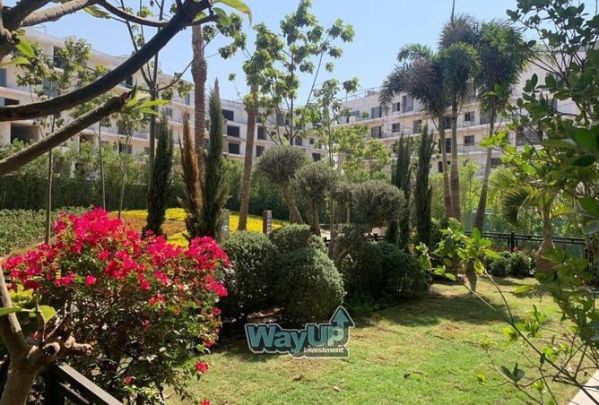 8450727 - Property Image 2