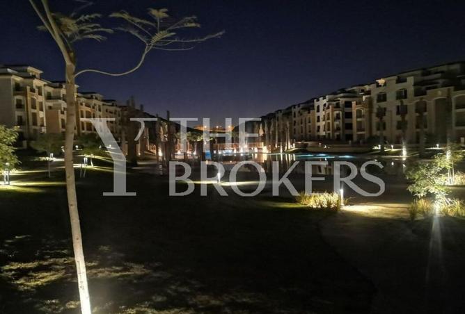 8608856 - Property Image 3