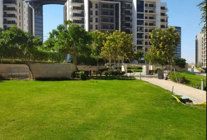 117537658 - Property Image 3