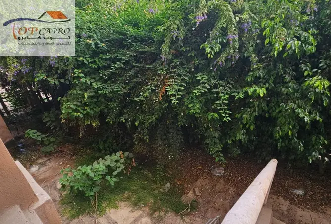112702921 - Property Image 3