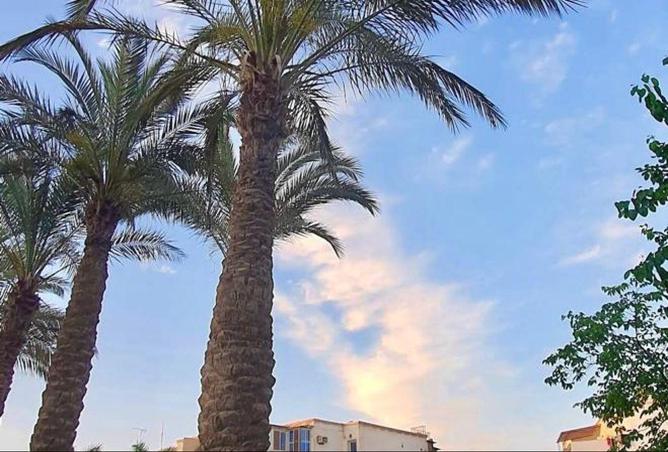 2P2lsYHRUAb - Property Image 3