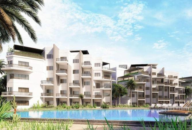 58242212 - Property Image 3