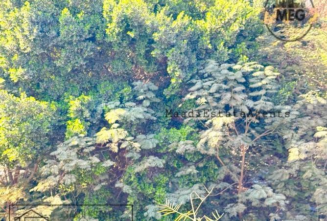 8574188 - صورة العقار 2