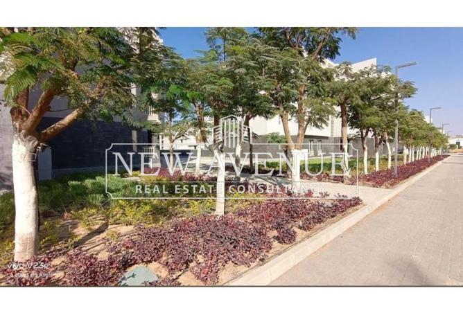 8699515 - صورة العقار 3