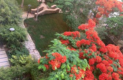 Apartment - 2 Bedrooms - 1 Bathroom for rent in Madinaty - Cairo Apartment - 2 Bedrooms - 1 Bathroom for rent in Madinaty - Cairo
