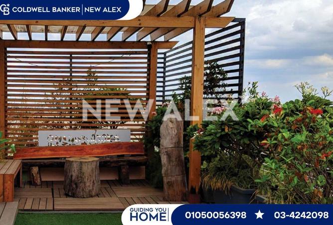 8719078 - Property Image 2