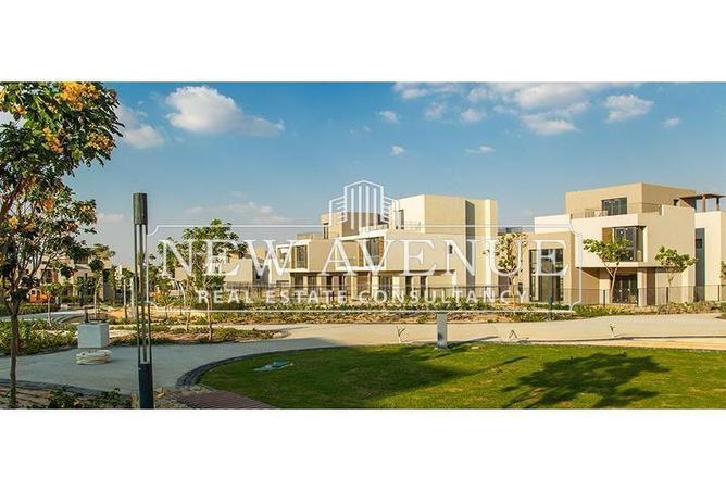 56253477 - صورة العقار 2