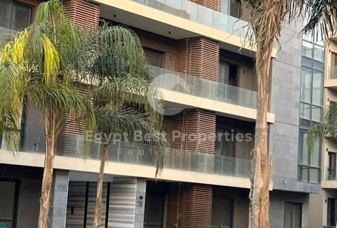 8642834 - Property Image 3