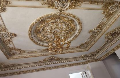 Whole Building - 7+ Bedrooms - 7+ Bathrooms for sale in El Motamayez District - Badr City - Cairo Whole Building - 7+ Bedrooms - 7+ Bathrooms for sale in El Motamayez District - Badr City - Cairo