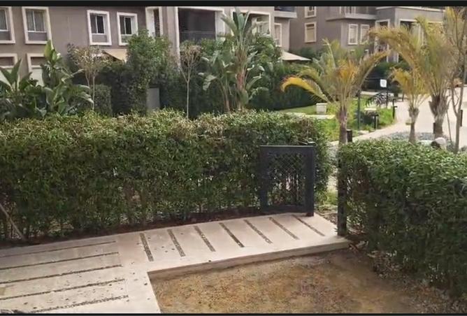 55009012 - صورة العقار 2