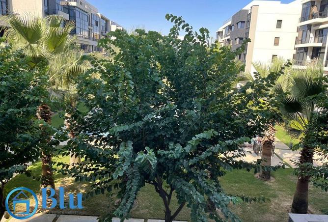 8701162 - صورة العقار 3