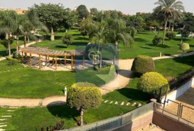 8584890 - صورة العقار 3