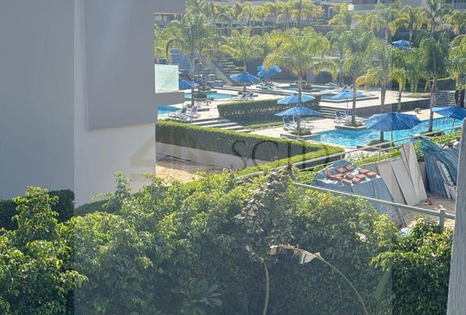 52442687 - Property Image 3