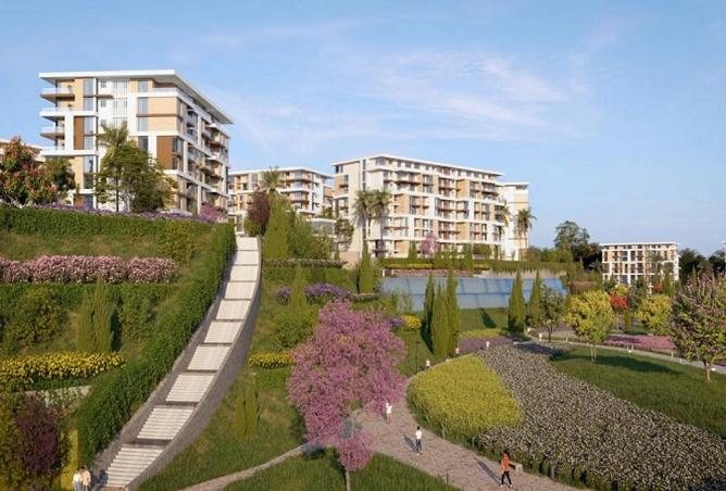 8460553 - Property Image 3