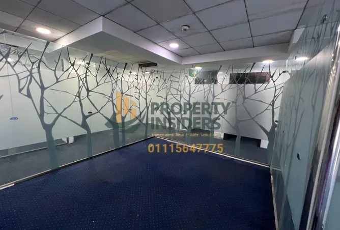 81830803 - Property Image 3