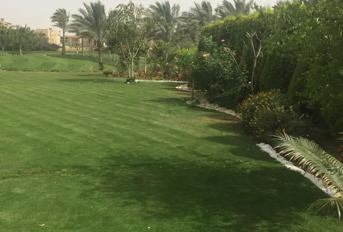 110740781 - صورة العقار 3