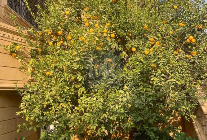 8513634 - Property Image 3