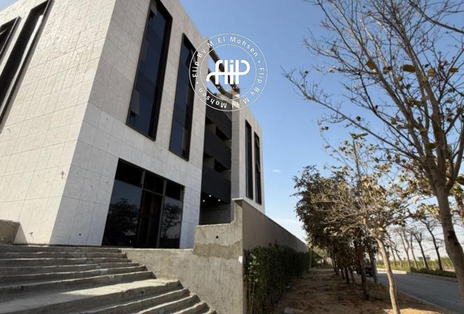 53477728 - Property Image 2