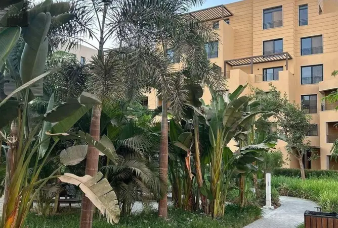 117536997 - صورة العقار 2