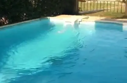 فيلا - 5 غرف نوم - 6 حمامات للايجار في قطامية جاردنز - كمبوندات القطامية - القطامية - مدينة القاهرة الجديدة - القاهرة