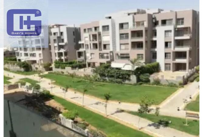 8637291 - Property Image 3