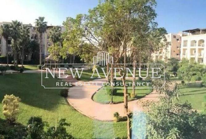 53980930 - صورة العقار 2