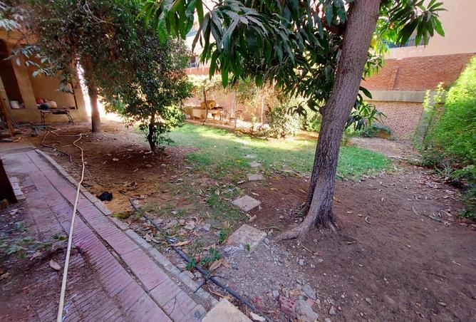 104036064 - صورة العقار 2
