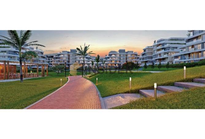 8670505 - Property Image 3