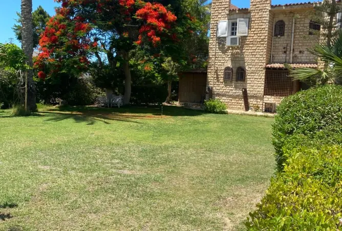 110474669 - صورة العقار 3