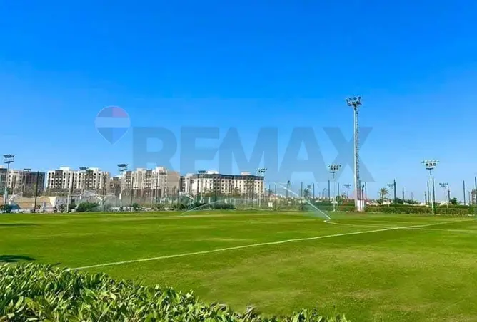 103761686 - Property Image 3
