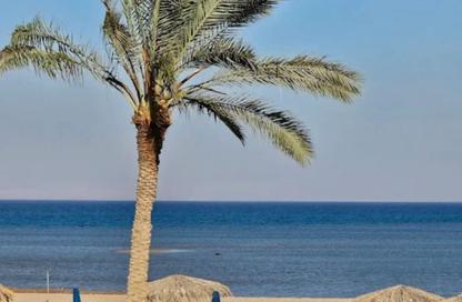 شاليه - 4 غرف نوم - 3 حمامات للبيع في لافيستا - العين السخنة - السويس