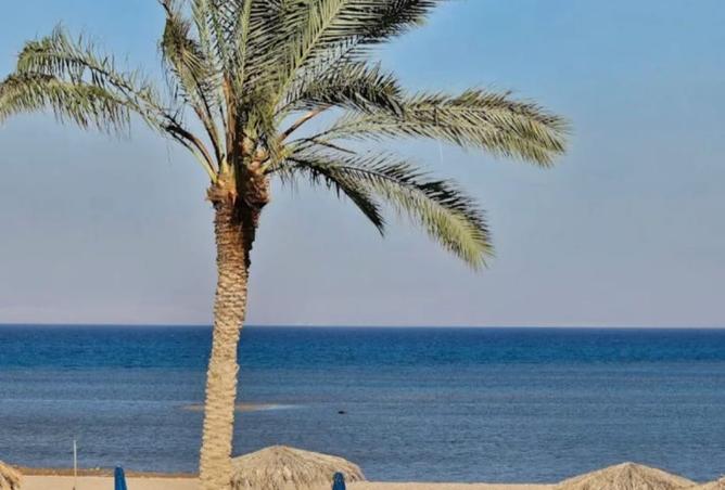 98278888 - صورة العقار 3